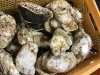 「魚魚市場鮮魚コーナーおすすめは「シマアジ」です♪」