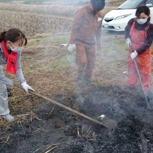 耕作放棄地の草刈りした枯れ草を焚き火しながら焼き芋「ワークショップ開催しました！農業体験」