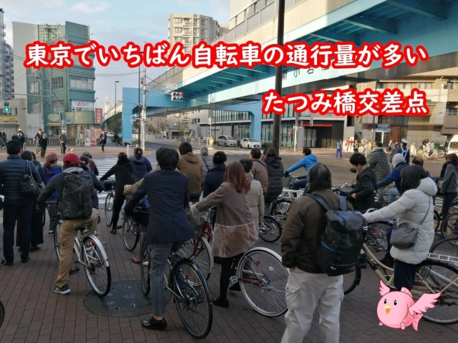 自転車密集地帯「TOKYO NO1 自転車通行量の葛飾区　【平和橋自動車教習所】」