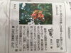 「【センター北のうんち薬局 漢方ハタ薬局】〜 読売新聞の四季より 〜 下痢 ・便秘・腰痛・膝痛・ 神経痛・自律神経・睡眠・後鼻漏 漢方相談」