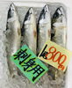 「魚魚市場鮮魚コーナーおすすめは「うちわエビ・ボイルシャコ」です♪」
