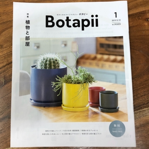 Botapii 1月号「Botapii 1月号」