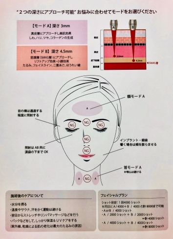 ハイフ わたし の