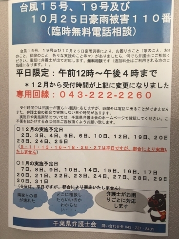 「『台風１５号・１９号・１０．２５豪雨　被害１１０番』」