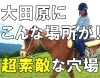 「行ってみた！やってみた！ 今日のおすすめスポット③」