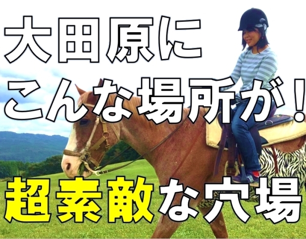 「行ってみた！やってみた！ 今日のおすすめスポット③」