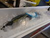 「各種鮮魚、取り扱っております！年末もお越しください」