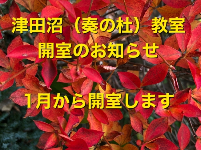 「津田沼（奏の杜）教室を開室します」