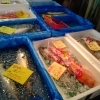 新鮮なお魚を取り扱ってます！