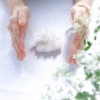 photo Noriko Sejiri「＊　レイキセミナーについて　　あなたもヒーラーになれます」