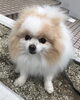 「種類を表すkind 」