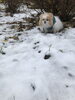 「天候の英語表現」