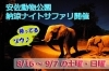 安佐動物公園の納涼ナイトサファリ まいぷれ広島 おすすめイベント情報 まいぷれ 広島市