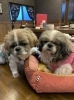 今年最後のお兄ちゃんとの2ショットです。「年末年始の休業日について」