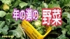 「寒い時期に収穫する野菜♪　タネのハシモト」