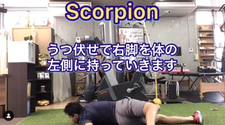 「腰痛改善/Scorpion【行徳・南行徳でボディメイクできるパーソナルトレーニングジム】」