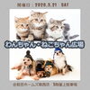 「大人気「わんちゃん・ねこちゃん広場」開催決定！　ただいま出店者募集中！」