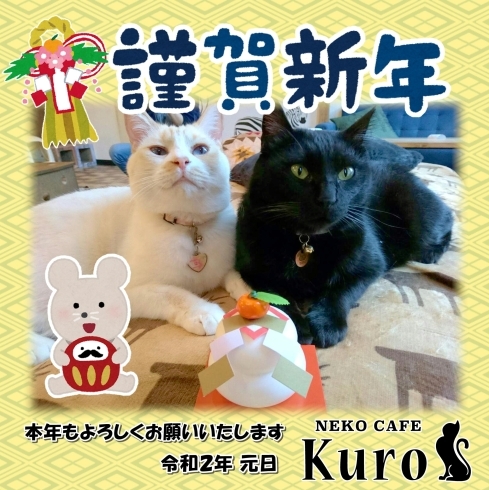 「猫カフェKuro 新年のごあいさつ！」