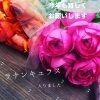 大人気のお花、ラナンキュラスが入りました♪「仕入れ始まりました！」