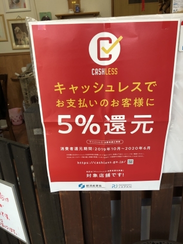 5%還元「 PAY払いでお得に！」