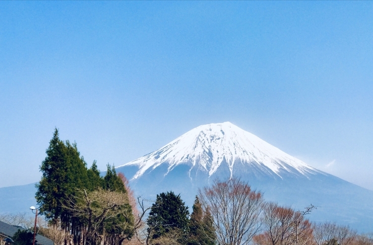 「新年明けましておめでとうございます！」