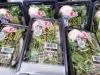 セットでご用意してますよ。「明日はお腹を休めましょう(*^-^)」