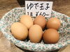 「ラーメンのお供に『ゆで玉子』」