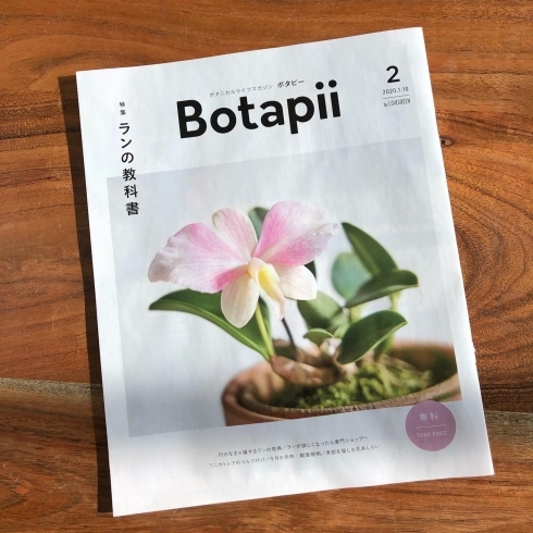 Botapii 2月号「「Botapii 2月号」入荷」