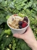 テイクアウトできます。「新川発!?…かな??」