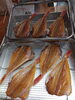 「📣本日のお魚情報🐟」