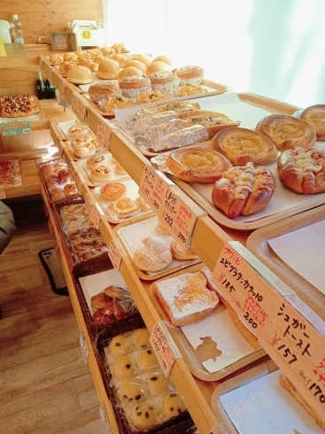 富士市吉原商店街近くのパン屋さん まいぷれ富士 沼津編集部のニュース まいぷれ 富士 沼津 富士市吉原商店街近くのパン屋さん まいぷれ富士 沼津編集部のニュース まいぷれ 富士 沼津