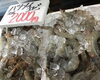 「魚魚市場鮮魚コーナーおすすめは「ヒオウギ貝・サザエ」です♪」