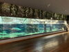 ピラルクー水槽「かごしま水族館を視察/静岡/熱帯魚/水槽レンタル/島田市/ペットショップ/内装プロデュース」