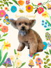 「Dog salon mofu mofu　余市町」