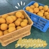 こんなに沢山ありがとうございます🍊「甘夏をいただきました🍊」