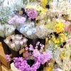 「『はなやホック皆生店』春のお彼岸準備中です!」