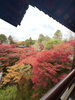 東福寺の紅葉「近況小ネタ集！紅葉、冬期講習会、ベビモン等など」