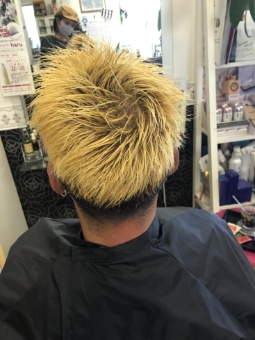 メンズシルバーカラー Hair Fashion Girl ヘアーファッションガール のニュース まいぷれ 米子 メンズシルバーカラー Hair Fashion Girl ヘアーファッションガール のニュース まいぷれ 米子