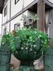 「東福寺野倶楽部さんで大満足！！(* ´ ▽ ` *)」
