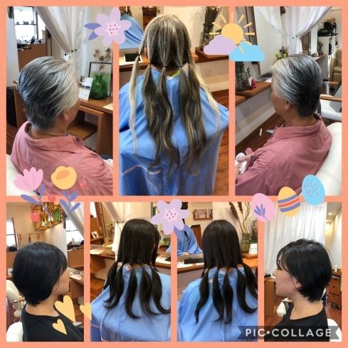 「ヘアドネーション」