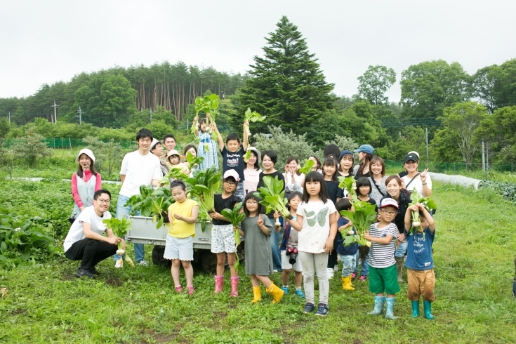 畑での収穫体験※イメージ「江戸川子育て会議開催」