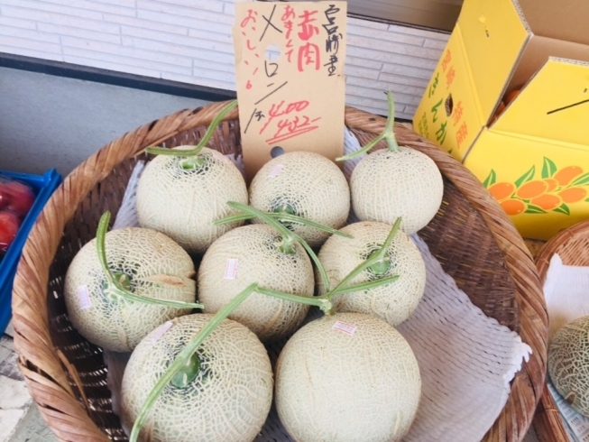 「宮崎県産のメロン！【野菜・果物は清武の黒木商店で♪】」