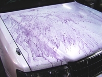 鉄粉除去（紫色は鉄粉除去剤が反応している）「冬の汚れは危険⁉手洗い洗車・・・」