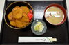 ぶりかつ丼「おはようございます☀️本日1/23(木)のおすすめmenu✨ぶりかつ丼……¥680-(7枚入)です。٩(๑^o^๑)۶」