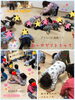 「お部屋でリトミック！【交野市・小規模保育園】」