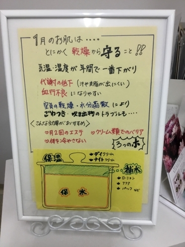 寒～い季節のお肌に大切な3つの『ホ』「寒～い季節のお肌に大切な3つの『ホ』」