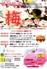 「『佐伯梅園梅まつり』2月1日（土）～29日（土）まで」