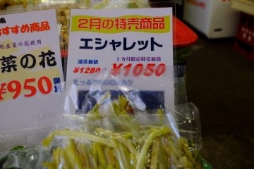 「十一屋船橋市場店　2月のおすすめ商品」