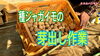 「ジャガイモの植え付け前の準備【芽だし作業で収穫】タネのハシモト」