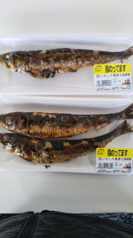 「本日は節分なので　【桂の鮮魚店　桂魚伊】」